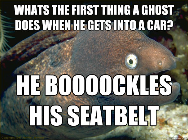 whats the first thing a ghost does when he gets into a car? he boooockles his seatbelt   Bad Joke Eel