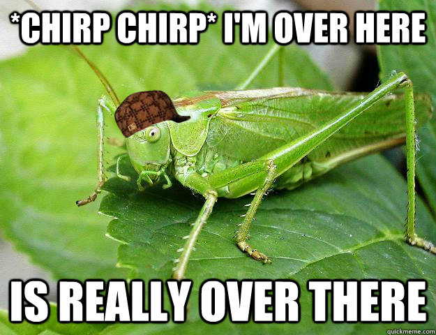 *chirp chirp* I'm over here Is really over there - *chirp chirp* I'm over here Is really over there  Scumbag Cricket