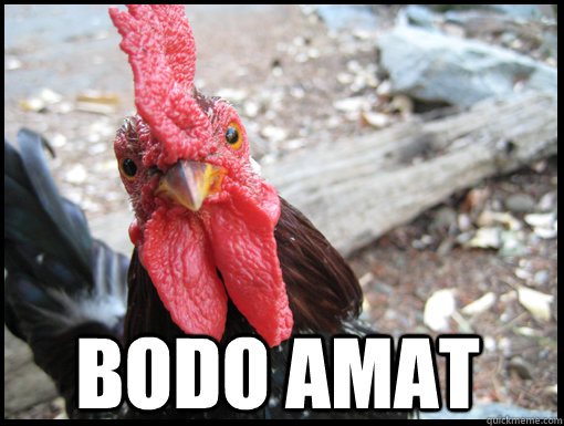 BODO AMAT - BODO AMAT  Serious Rooster