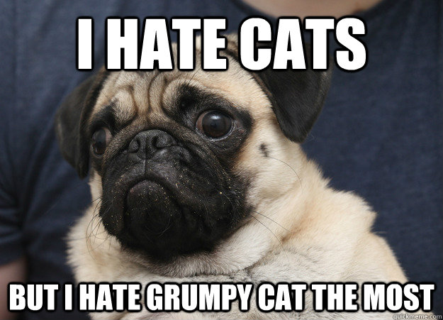 i hate cats but i hate grumpy cat the most - i hate cats but i hate grumpy cat the most  Grumpy Pug