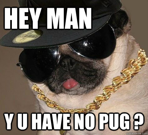Hey MAN Y U HAVE NO PUG ?  
