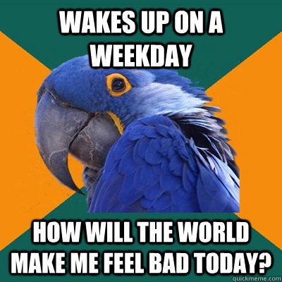 Wakes up on a weekday how will the world make me feel bad today?  Paranoid Parrot