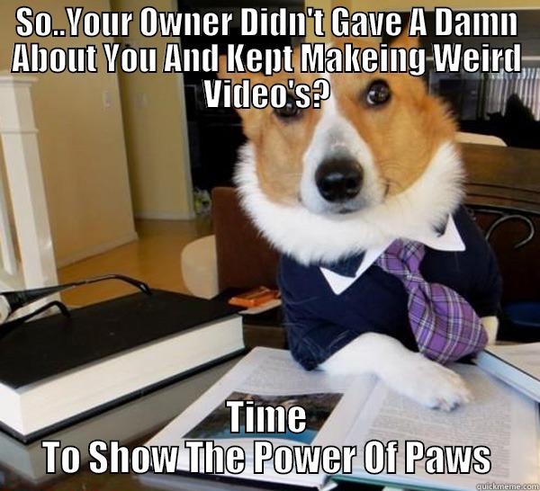 SO..YOUR OWNER DIDN'T GAVE A DAMN ABOUT YOU AND KEPT MAKEING WEIRD VIDEO'S? TIME TO SHOW THE POWER OF PAWS Lawyer Dog