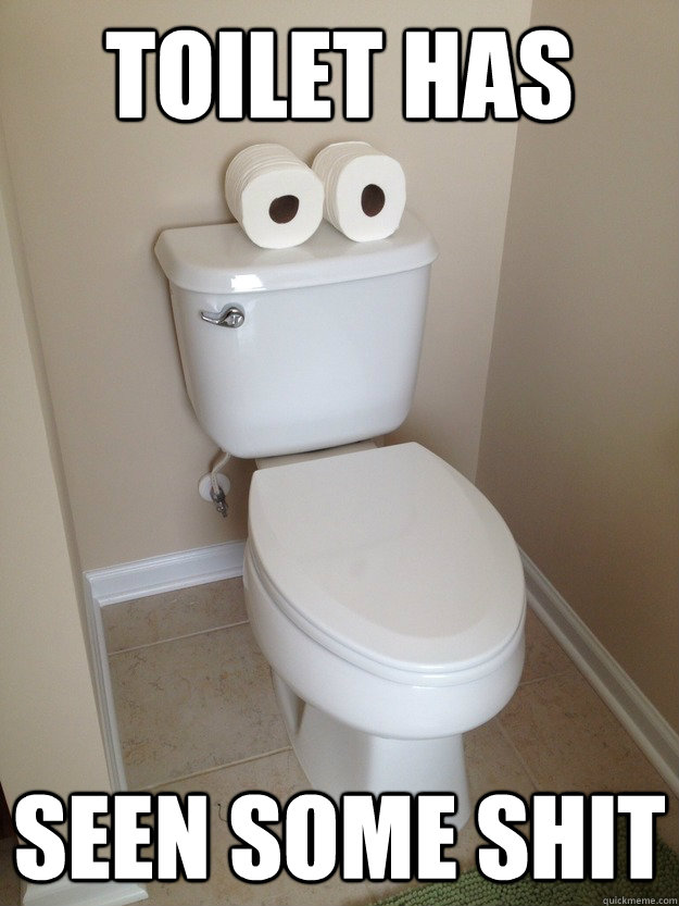 Toilet has seen some shit  