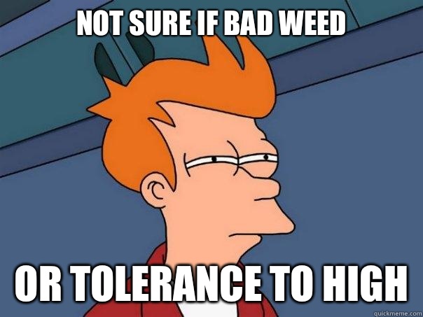 Not sure if bad weed  Or tolerance to high  Futurama Fry