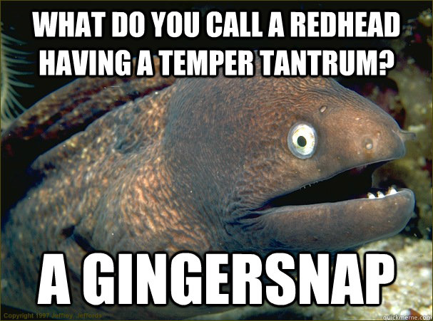What do you call a redhead having a temper tantrum? A gingersnap  Bad Joke Eel