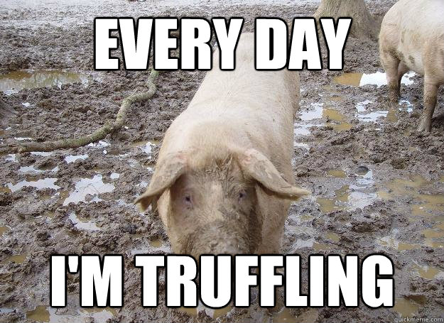every day i'm truffling  