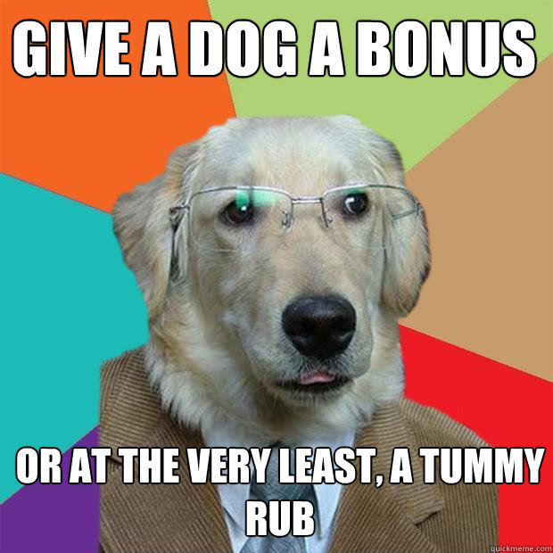 give a dog a bonus or at the very least, a tummy rub  Business Dog