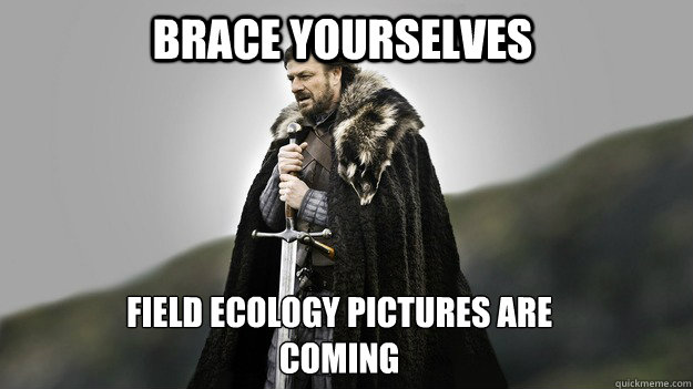 Brace yourselves Field Ecology Pictures are coming  Ned stark winter is coming