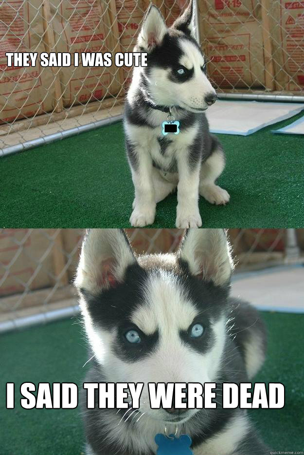 They said I was cute I said they were dead  Insanity puppy