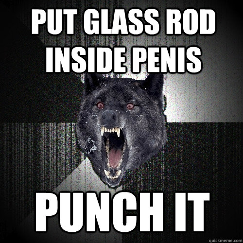 PUT GLASS ROD INSIDE PENIS PUNCH IT  Insanity Wolf