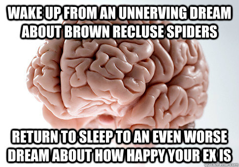 wake up from an unnerving dream about brown recluse spiders return to sleep to an even worse dream about how happy your ex is - wake up from an unnerving dream about brown recluse spiders return to sleep to an even worse dream about how happy your ex is  Scumbag Brain
