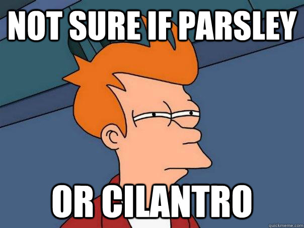 Not sure if parsley Or cilantro  Futurama Fry