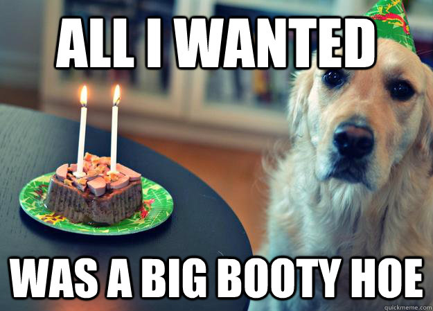 All I wanted  Was a big booty hoe  Sad Birthday Dog