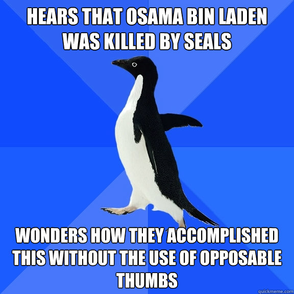 Hears that Osama Bin Laden was killed by seals wonders how they accomplished this without the use of opposable thumbs  Socially Awkward Penguin