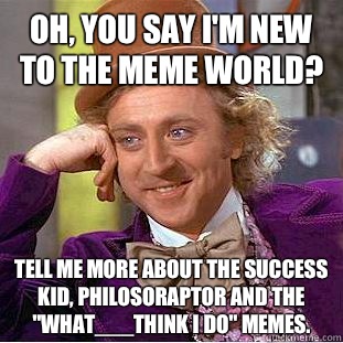 Oh, you say I'm new to the meme world? Tell me more about the success kid, philosoraptor and the 