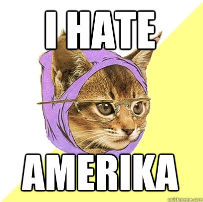 I hate Amerika  Hipster Kitty