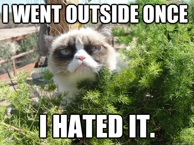 I went outside once I hated it. - I went outside once I hated it.  Grumpy Cat Bush