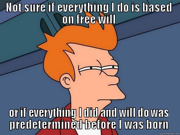 NOT SURE IF EVERYTHING I DO IS BASED ON FREE WILL OR IF EVERYTHING I DID AND WILL DO WAS PREDETERMINED BEFORE I WAS BORN Futurama Fry