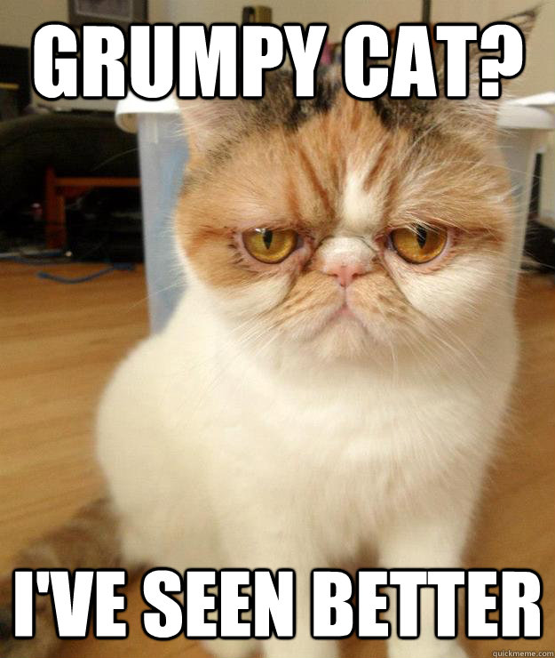 grumpy cat? I've seen better  disdain cat