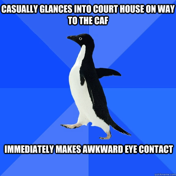 casually glances into court house on way to the caf  immediately makes awkward eye contact   Socially Awkward Penguin