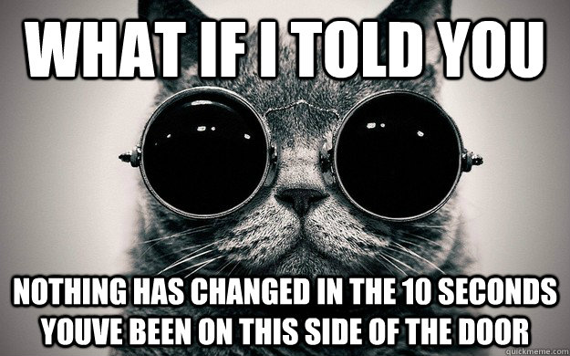 What if i told you nothing has changed in the 10 seconds youve been on this side of the door - What if i told you nothing has changed in the 10 seconds youve been on this side of the door  Morpheus Cat Facts