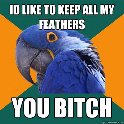 id like to keep all my feathers you bitch  Paranoid Parrot