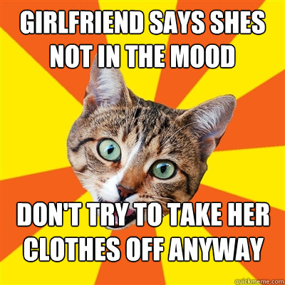 girlfriend says shes not in the mood don't try to take her clothes off anyway  Bad Advice Cat
