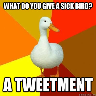What do you give a sick bird? A tweetment  Tech Impaired Duck