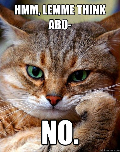 Hmm, lemme think abo- NO.  No Cat