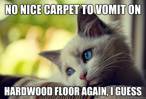 no nice carpet to vomit on hardwood floor again, i guess  First World Problems Cat