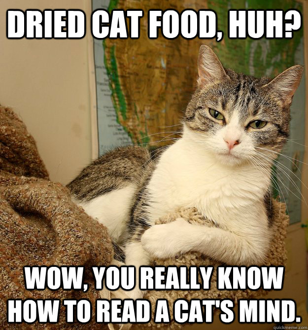 dried cat food, huh? Wow, you really know how to read a cat's mind. - dried cat food, huh? Wow, you really know how to read a cat's mind.  Disdainful Cat