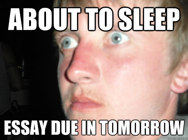 about to sleep essay due in tomorrow  - about to sleep essay due in tomorrow   Shocked Greg