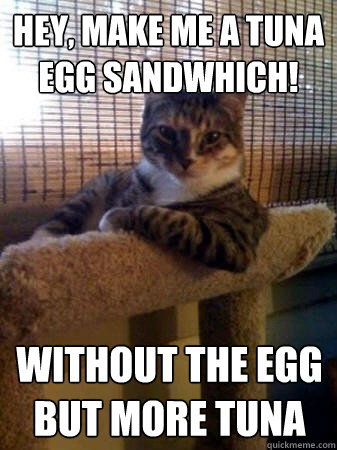 Hey, make me a tuna egg sandwhich! without the egg but more tuna  The Most Interesting Cat in the World