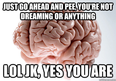 Just go ahead and pee, you're not dreaming or anything lol Jk, yes you are - Just go ahead and pee, you're not dreaming or anything lol Jk, yes you are  Scumbag Brain