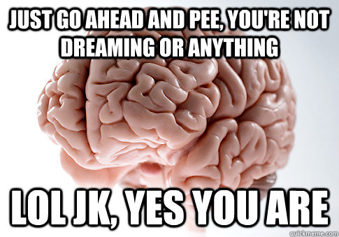 Just go ahead and pee, you're not dreaming or anything lol Jk, yes you are  Scumbag Brain