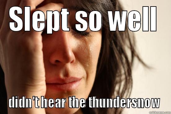 SLEPT SO WELL DIDN'T HEAR THE THUNDERSNOW First World Problems