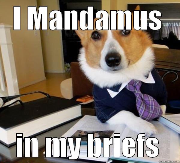 Lawyer Dog Laws - I MANDAMUS IN MY BRIEFS Lawyer Dog