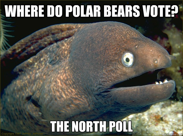 Where do polar bears vote? The North Poll - Where do polar bears vote? The North Poll  Bad Joke Eel