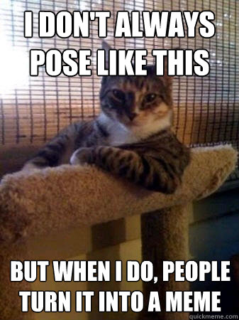 I don't always pose like this but when i do, people turn it into a meme  The Most Interesting Cat in the World