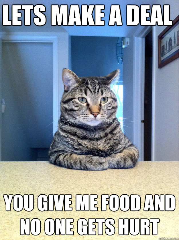 Lets make a deal You give me food and no one gets hurt  Chris Hansen Cat