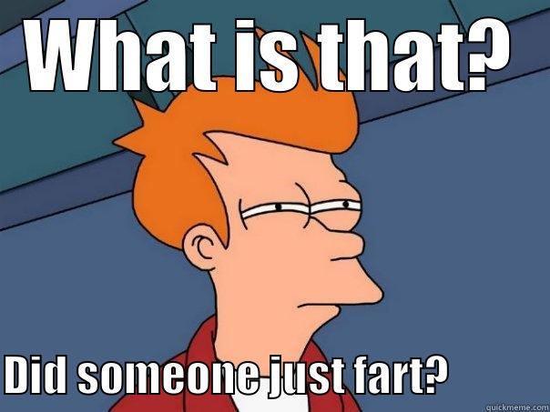 Fart Smells - WHAT IS THAT? DID SOMEONE JUST FART?            Futurama Fry