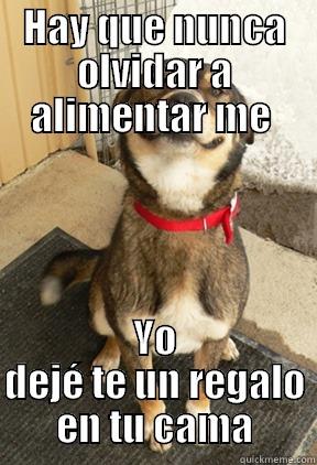 HAY QUE NUNCA OLVIDAR A ALIMENTAR ME  YO DEJÉ TE UN REGALO EN TU CAMA Good Dog Greg