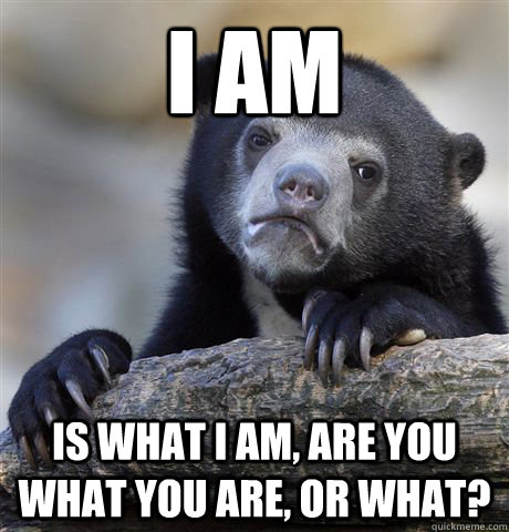 I am is what I am, are you what you are, or what?  Confession Bear