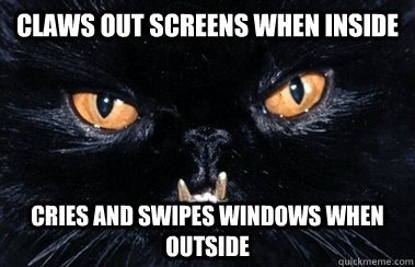 claws out screens when inside cries and swipes windows when outside  Evil Cat