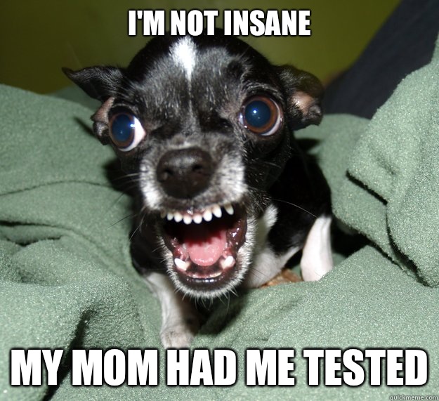 I'M NOT INSANE MY MOM HAD ME TESTED  Chihuahua Logic