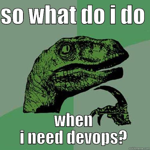 where my devops? - SO WHAT DO I DO  WHEN I NEED DEVOPS? Philosoraptor