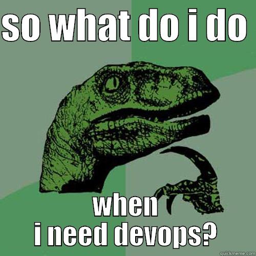 SO WHAT DO I DO  WHEN I NEED DEVOPS? Philosoraptor