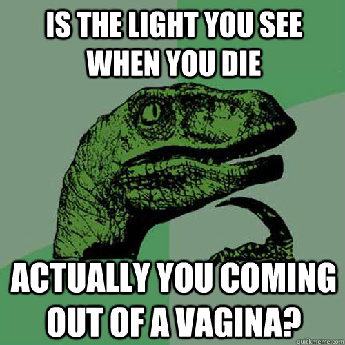 Is the light you see when you die actually you coming out of a vagina?  Philosoraptor