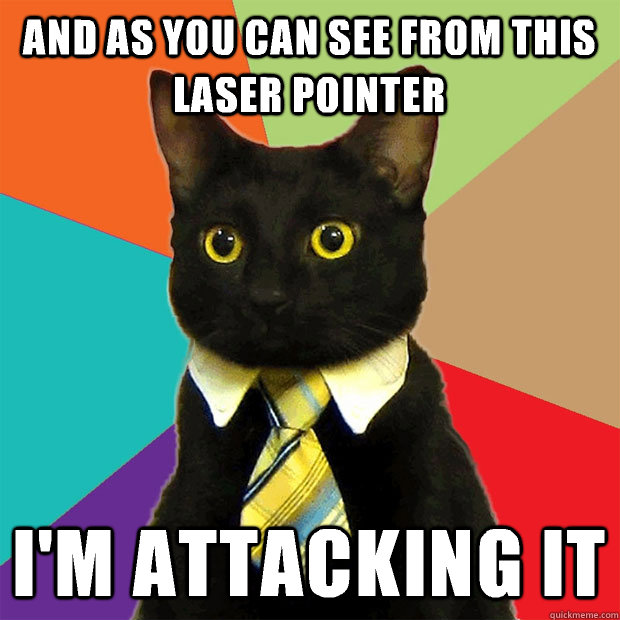 And as you can see from this laser pointer I'm attacking it  Business Cat